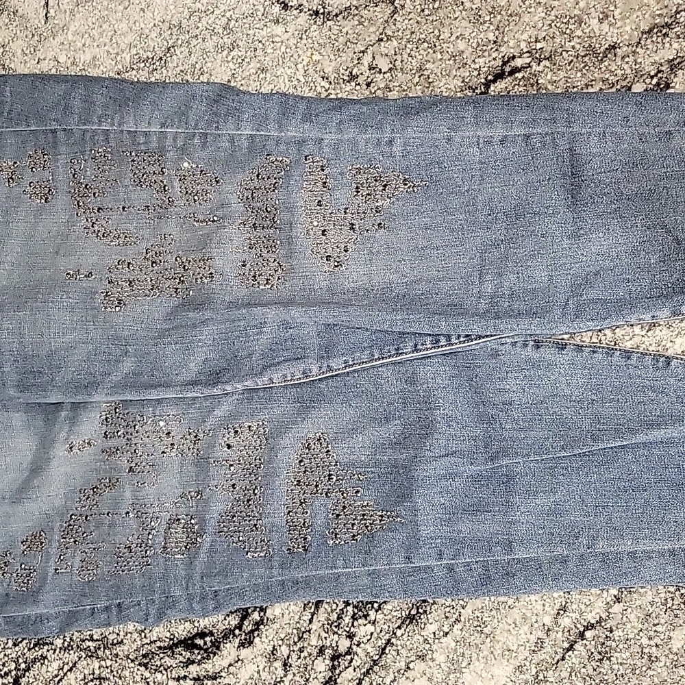 Lane Bryant Blue Skinny Jeans with Silver Accents Sz20